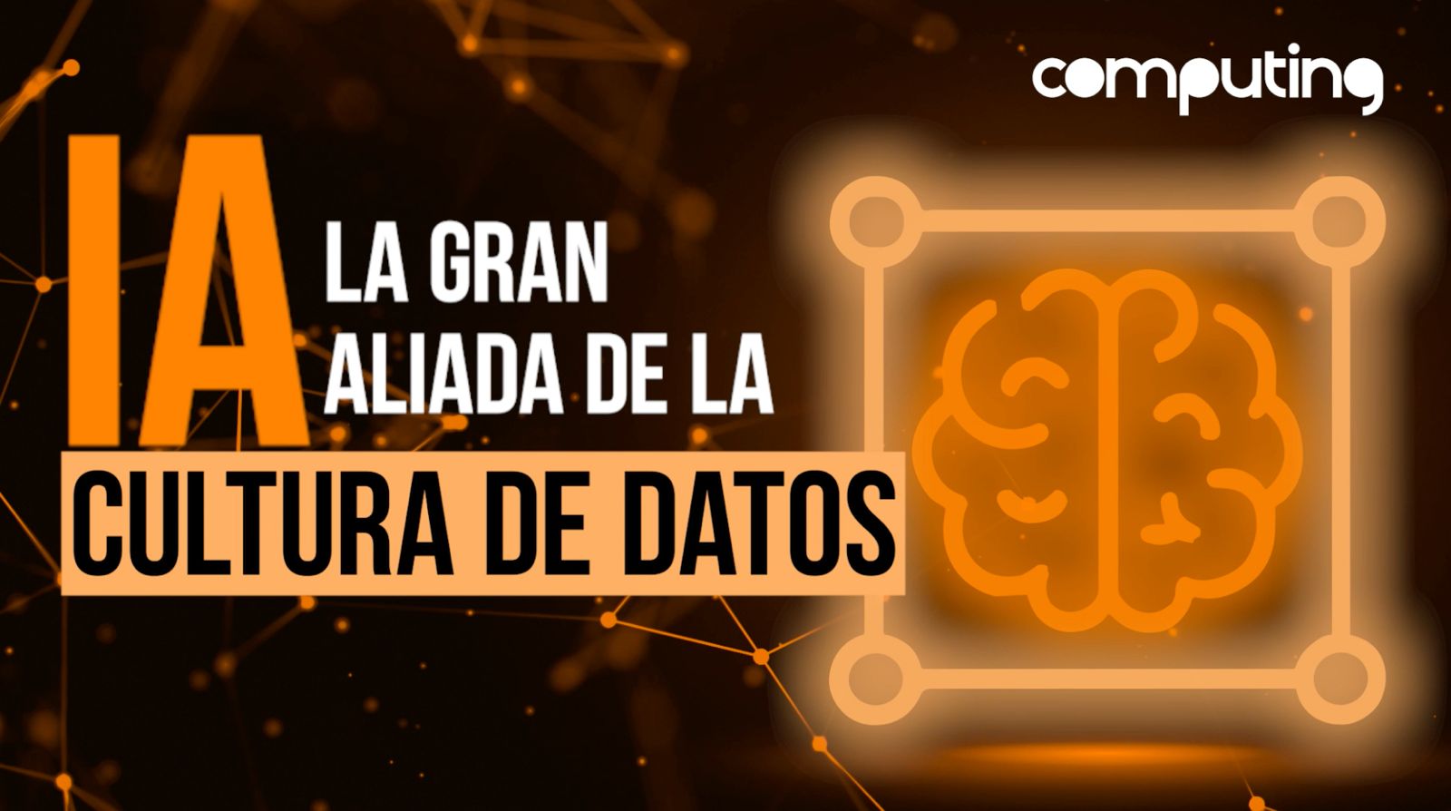 WhatsApp Image 2025-10-27 at 17.38.37