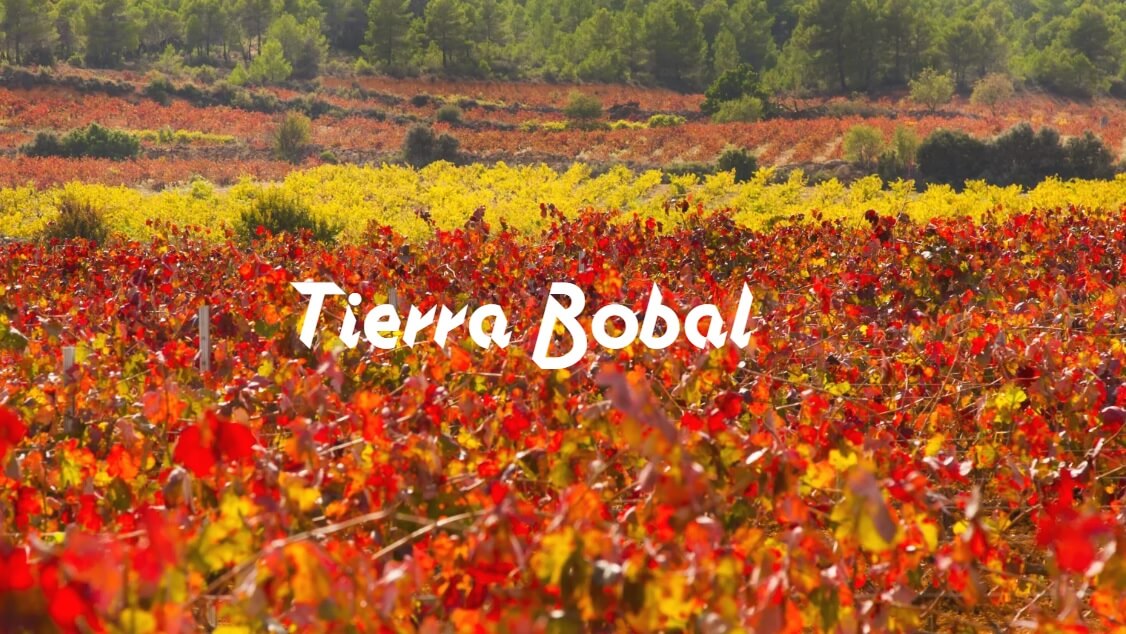 Tierra Bobal