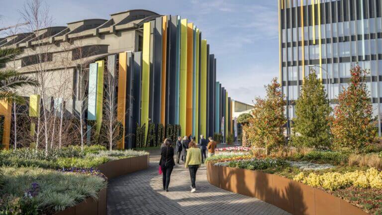 Conoce a los finalistas de los XVI Premios CNIS 2026