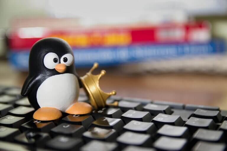 Linux